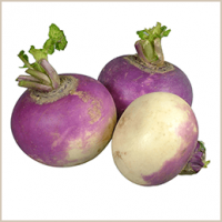 Nabo  kg