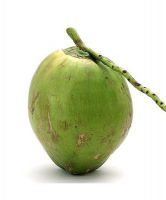 Coco Verde 