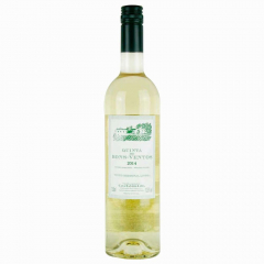 Bebida Vinho Bons Ventos Branco 750ml 