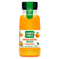 Suco Laranja Campo Largo Pet 250ml 